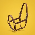 Bebederos para caballos